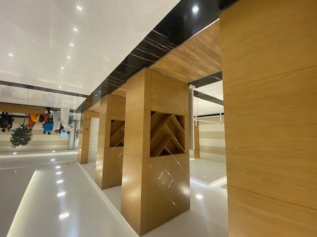 Laser Arts Interior Design L.L.C